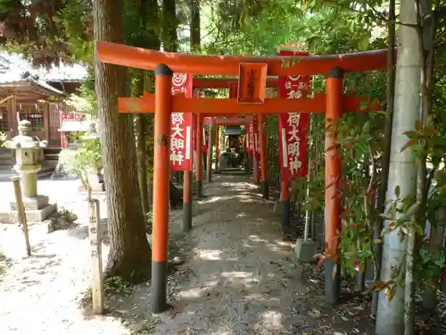 亀山神社の鳥居