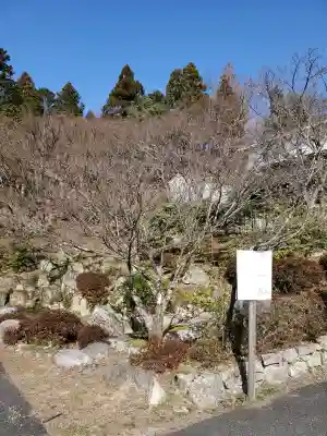 百済寺の{uncategorized: "未分類", other: "その他", undefined: "問題あり", building: "その他建物", grave: "お墓", sacred_gate: "鳥居", guardian: "狛犬", statue: "像", buddha: "仏像", history: "歴史", nature: "自然", garden: "庭園", animal: "動物", pagoda: "塔", temizu: "手水舎", mountain_gate: "山門・神門", sanctuary: "本殿・本堂", subordinate: "末社・摂社", art: "芸術", scenery: "景色", jizo: "地蔵", ema: "絵馬", goshuin: "御朱印", omikuji: "おみくじ", items: "授与品その他", amulet: "お守り", goshuincho: "御朱印帳", eats: "食事", festival: "お祭り", votive_dance: "神楽", shichigosan: "七五三参", wedding: "結婚式", experience: "体験その他", initially: "初詣", around: "周辺", anti_infection: "感染症対策"}