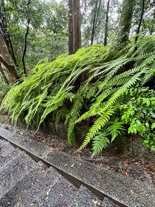 豊国廟(豊国神社飛地境内)(京都府)