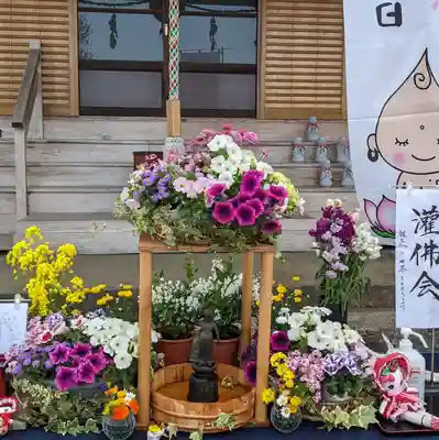 伊勢原 法泉寺のお祭り