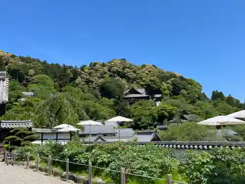 長谷寺(奈良県)