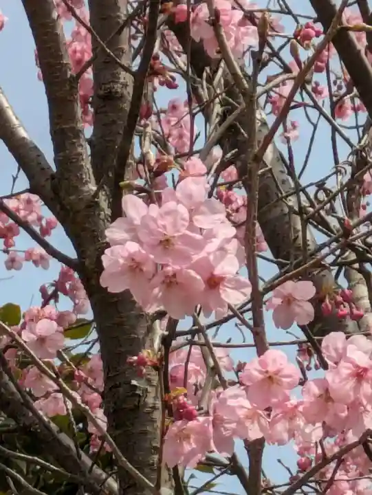 石内のお大師さん 金剛院(広島県)