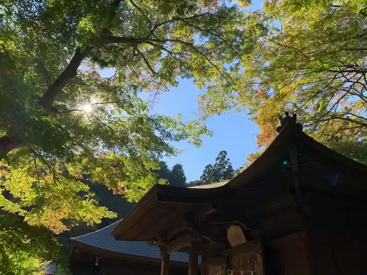 普門寺(切り絵御朱印発祥の寺)のその他建物