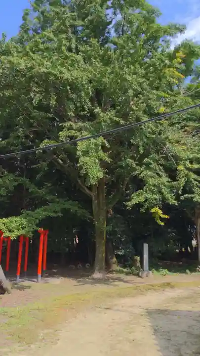 石刀神社の自然