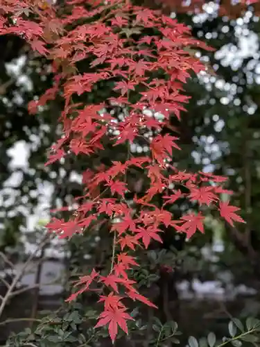 乃木神社(東京都)