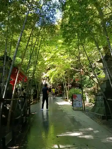 來宮神社の{uncategorized: "未分類", other: "その他", undefined: "問題あり", building: "その他建物", grave: "お墓", sacred_gate: "鳥居", guardian: "狛犬", statue: "像", buddha: "仏像", history: "歴史", nature: "自然", garden: "庭園", animal: "動物", pagoda: "塔", temizu: "手水舎", mountain_gate: "山門・神門", sanctuary: "本殿・本堂", subordinate: "末社・摂社", art: "芸術", scenery: "景色", jizo: "地蔵", ema: "絵馬", goshuin: "御朱印", omikuji: "おみくじ", items: "授与品その他", amulet: "お守り", goshuincho: "御朱印帳", eats: "食事", festival: "お祭り", votive_dance: "神楽", shichigosan: "七五三参", wedding: "結婚式", experience: "体験その他", initially: "初詣", around: "周辺", anti_infection: "感染症対策"}