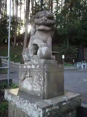 杉山神社の狛犬