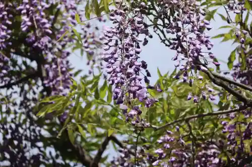 國領神社の{uncategorized: "未分類", other: "その他", undefined: "問題あり", building: "その他建物", grave: "お墓", sacred_gate: "鳥居", guardian: "狛犬", statue: "像", buddha: "仏像", history: "歴史", nature: "自然", garden: "庭園", animal: "動物", pagoda: "塔", temizu: "手水舎", mountain_gate: "山門・神門", sanctuary: "本殿・本堂", subordinate: "末社・摂社", art: "芸術", scenery: "景色", jizo: "地蔵", ema: "絵馬", goshuin: "御朱印", omikuji: "おみくじ", items: "授与品その他", amulet: "お守り", goshuincho: "御朱印帳", eats: "食事", festival: "お祭り", votive_dance: "神楽", shichigosan: "七五三参", wedding: "結婚式", experience: "体験その他", initially: "初詣", around: "周辺", anti_infection: "感染症対策"}