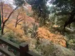 唐澤山神社の景色