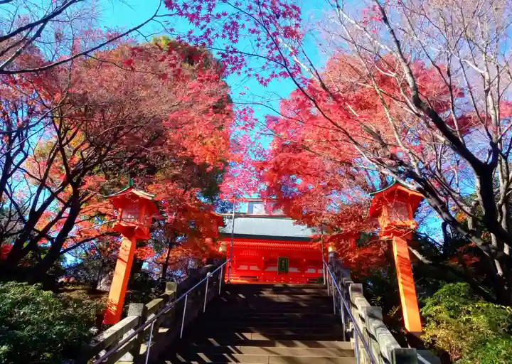 穴八幡宮(東京都)