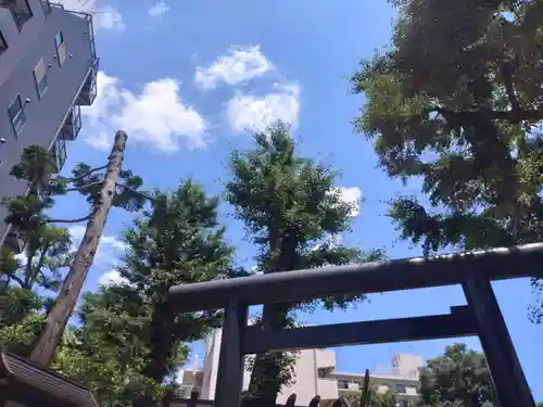 高円寺氷川神社の鳥居