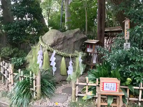 大宮八幡宮の自然