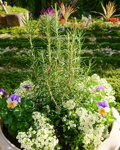 寿量山　速成寺の庭園