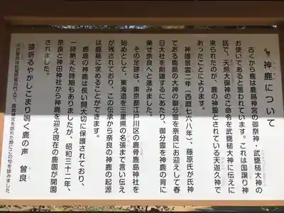 鹿島神宮の歴史