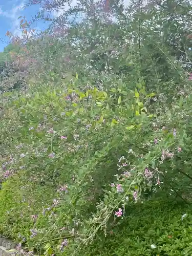 壬生寺(京都府)
