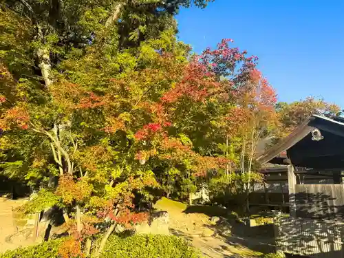 伊勢の国 四天王寺の自然