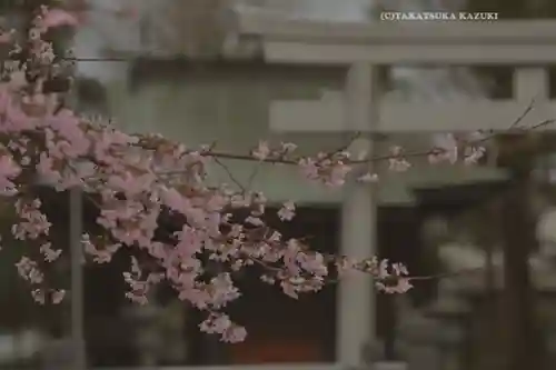 今泉神社(神奈川県)