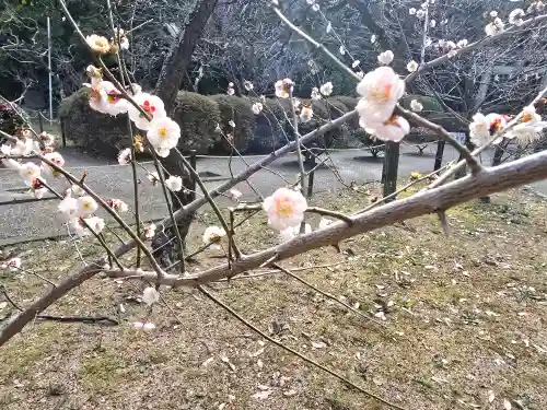 意賀美神社(大阪府)
