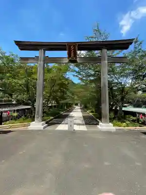 高麗神社の鳥居