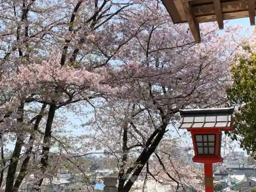 千姫天満宮の景色