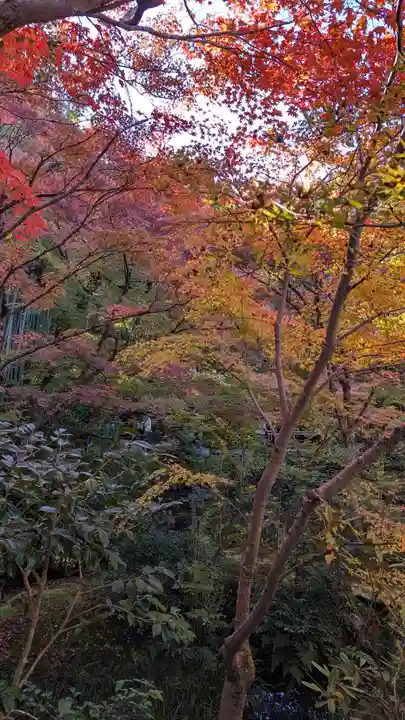 圓光寺(京都府)