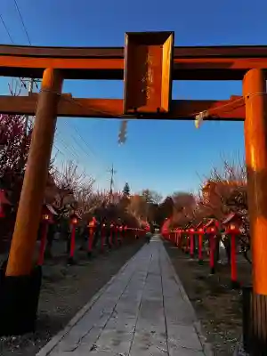 朝日森天満宮の{uncategorized: "未分類", other: "その他", undefined: "問題あり", building: "その他建物", grave: "お墓", sacred_gate: "鳥居", guardian: "狛犬", statue: "像", buddha: "仏像", history: "歴史", nature: "自然", garden: "庭園", animal: "動物", pagoda: "塔", temizu: "手水舎", mountain_gate: "山門・神門", sanctuary: "本殿・本堂", subordinate: "末社・摂社", art: "芸術", scenery: "景色", jizo: "地蔵", ema: "絵馬", goshuin: "御朱印", omikuji: "おみくじ", items: "授与品その他", amulet: "お守り", goshuincho: "御朱印帳", eats: "食事", festival: "お祭り", votive_dance: "神楽", shichigosan: "七五三参", wedding: "結婚式", experience: "体験その他", initially: "初詣", around: "周辺", anti_infection: "感染症対策"}
