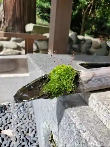 高司神社〜むすびの神の鎮まる社〜(福島県)