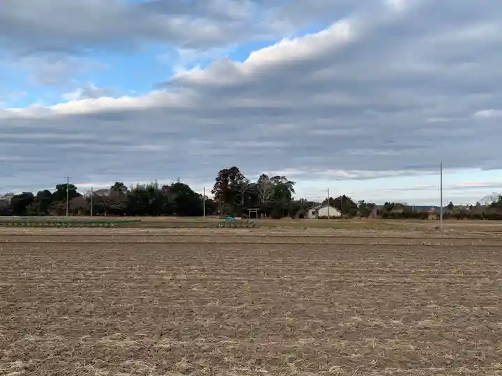 琴平神社(千葉県)