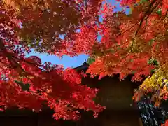 滑川神社 - 仕事と子どもの守り神の自然