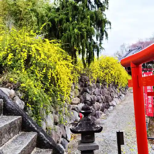 差出磯大嶽山神社 仕事と健康と厄よけの神さま(山梨県)
