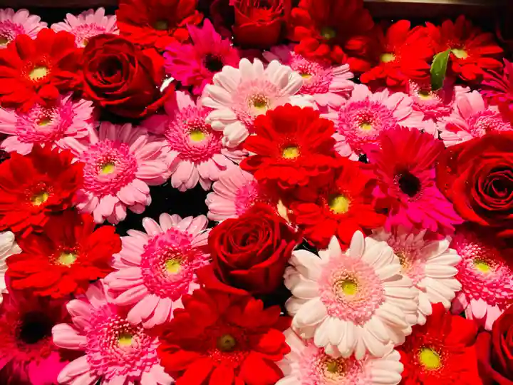 東京大神宮(東京都)