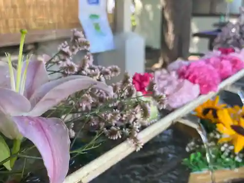 星置神社の手水