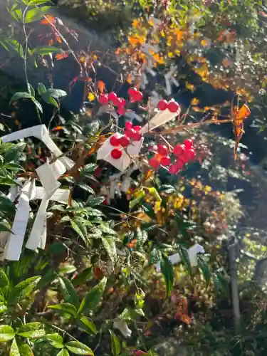 山科聖天 雙林院（双林院）　(京都府)