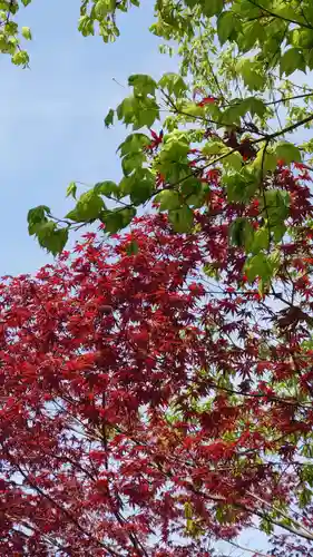 相馬神社(北海道)
