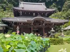 三室戸寺(京都府)