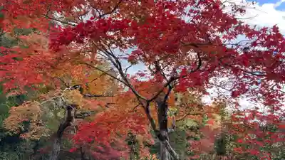 二尊院(京都府)