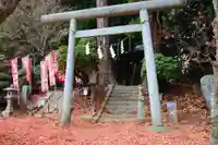 鹿島大神宮の鳥居