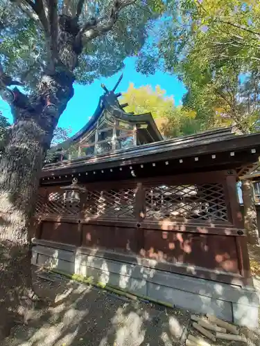若宮八幡大神宮(大阪府)