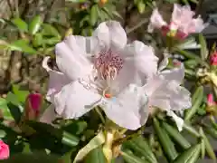 普門寺(切り絵御朱印発祥の寺)(愛知県)