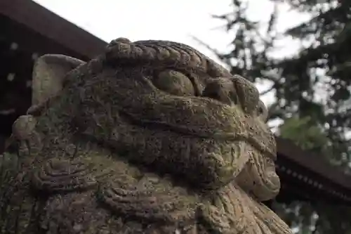 川口神社の狛犬