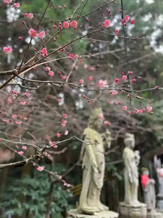 宝山寺の{uncategorized: "未分類", other: "その他", undefined: "問題あり", building: "その他建物", grave: "お墓", sacred_gate: "鳥居", guardian: "狛犬", statue: "像", buddha: "仏像", history: "歴史", nature: "自然", garden: "庭園", animal: "動物", pagoda: "塔", temizu: "手水舎", mountain_gate: "山門・神門", sanctuary: "本殿・本堂", subordinate: "末社・摂社", art: "芸術", scenery: "景色", jizo: "地蔵", ema: "絵馬", goshuin: "御朱印", omikuji: "おみくじ", items: "授与品その他", amulet: "お守り", goshuincho: "御朱印帳", eats: "食事", festival: "お祭り", votive_dance: "神楽", shichigosan: "七五三参", wedding: "結婚式", experience: "体験その他", initially: "初詣", around: "周辺", anti_infection: "感染症対策"}