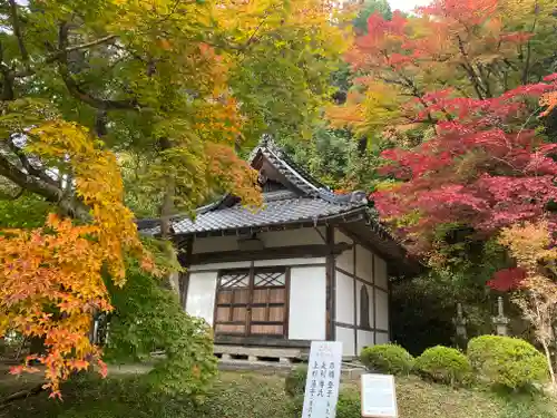 安国寺(京都府)
