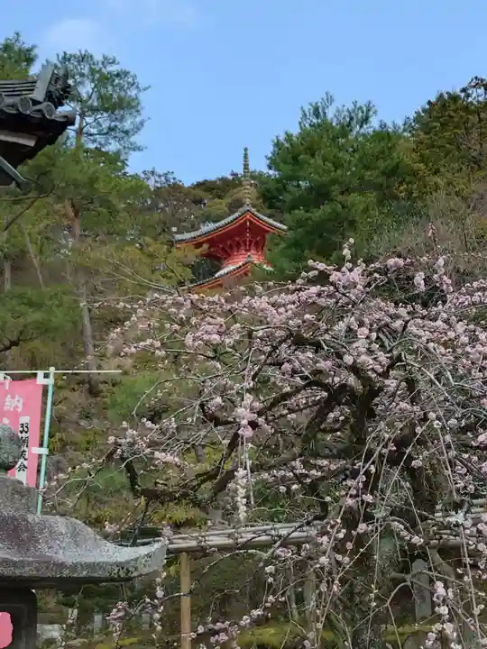 今熊野観音寺(京都府)