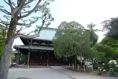 豪徳寺の建物その他