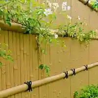 寿量山 速成寺の自然