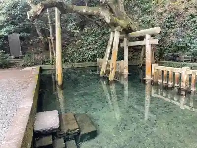 鹿島神宮(茨城県)