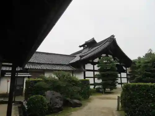 隨心院（随心院）の本殿・本堂