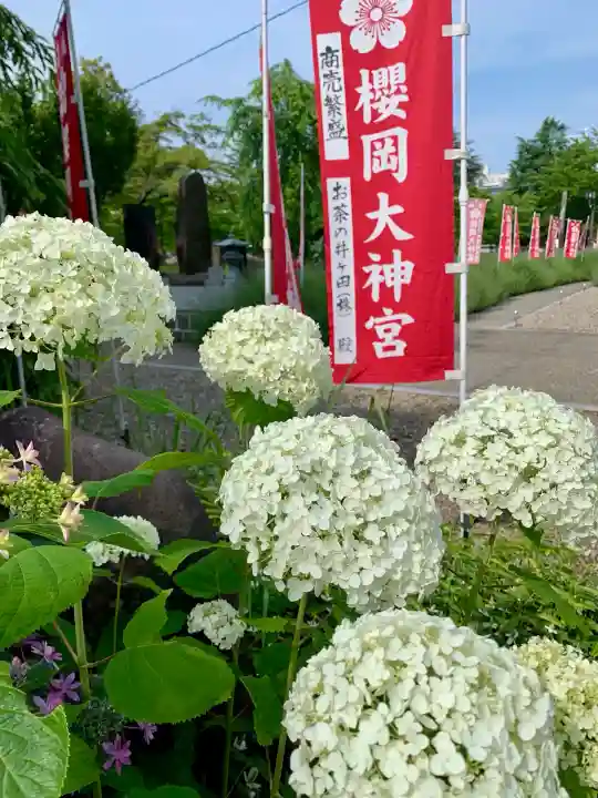 櫻岡大神宮の自然