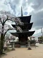 飛騨国分寺の{uncategorized: "未分類", other: "その他", undefined: "問題あり", building: "その他建物", grave: "お墓", sacred_gate: "鳥居", guardian: "狛犬", statue: "像", buddha: "仏像", history: "歴史", nature: "自然", garden: "庭園", animal: "動物", pagoda: "塔", temizu: "手水舎", mountain_gate: "山門・神門", sanctuary: "本殿・本堂", subordinate: "末社・摂社", art: "芸術", scenery: "景色", jizo: "地蔵", ema: "絵馬", goshuin: "御朱印", omikuji: "おみくじ", items: "授与品その他", amulet: "お守り", goshuincho: "御朱印帳", eats: "食事", festival: "お祭り", votive_dance: "神楽", shichigosan: "七五三参", wedding: "結婚式", experience: "体験その他", initially: "初詣", around: "周辺", anti_infection: "感染症対策"}