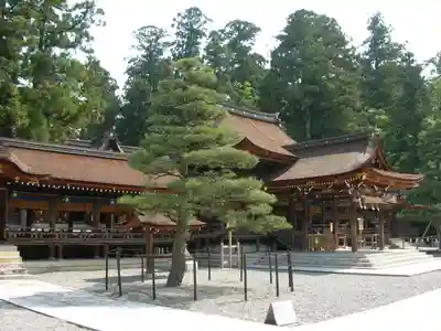 多賀大社(滋賀県)